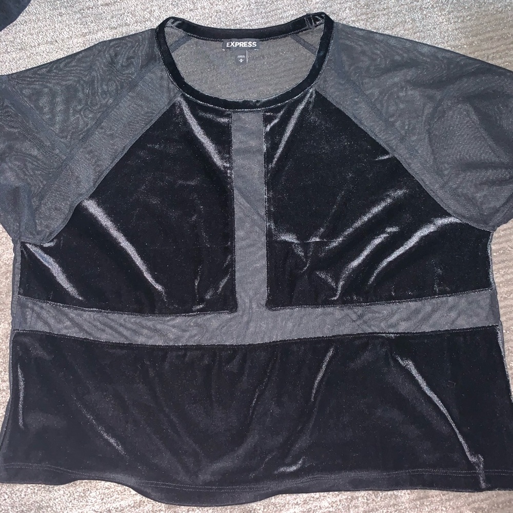 Mesh and velvet t shirt